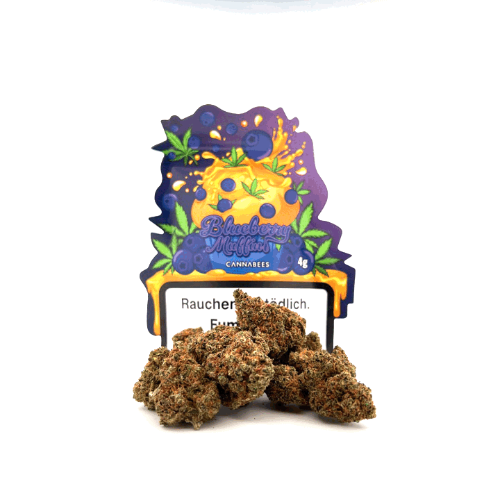 Cannabees.ch Blueberry Muffin – Indoorblüten 10 g