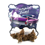 Cannabees.ch Purple Fuel
