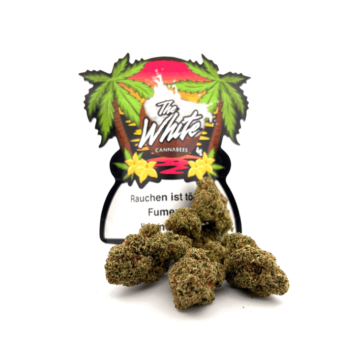 White Widow CBD Blüten Outdoor aus Italien von Heyhemp