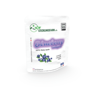 Blueberry Muffin CBD Indoorblüten – 3 g von Heyhemp