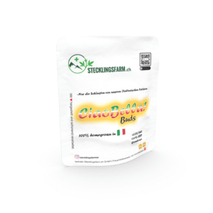 CiaoBella!Buds CBD Outdoorblüten – 3 g von Heyhemp