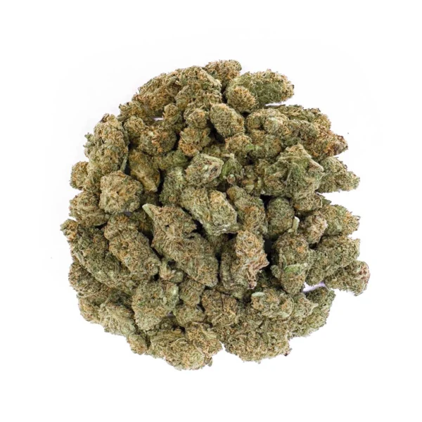 WEEDX.ch Grand Daddy Rambo – Indoorblüten 8 g – Bild 2