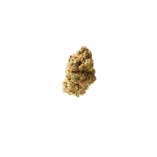 Herba di Berna CBD Indoorblüten – Tropical Punch 4g – Bild 2