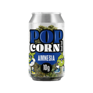 Popcorn Amnesia CBD Blüten 10g von Haschill